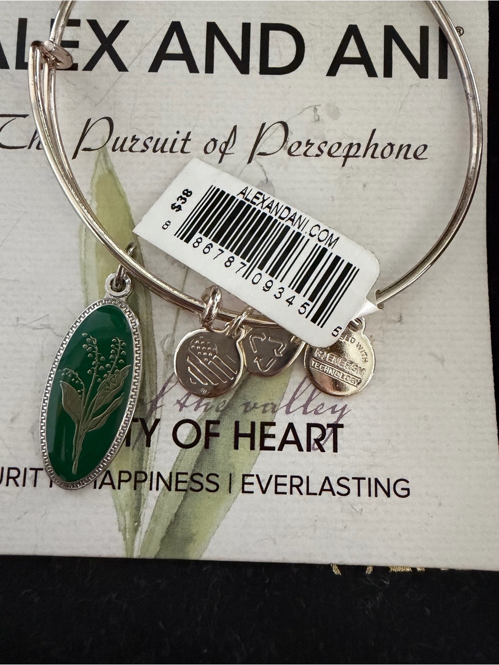 Alex and Ani Charm Bangle